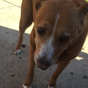 Meet your Posher, Jared